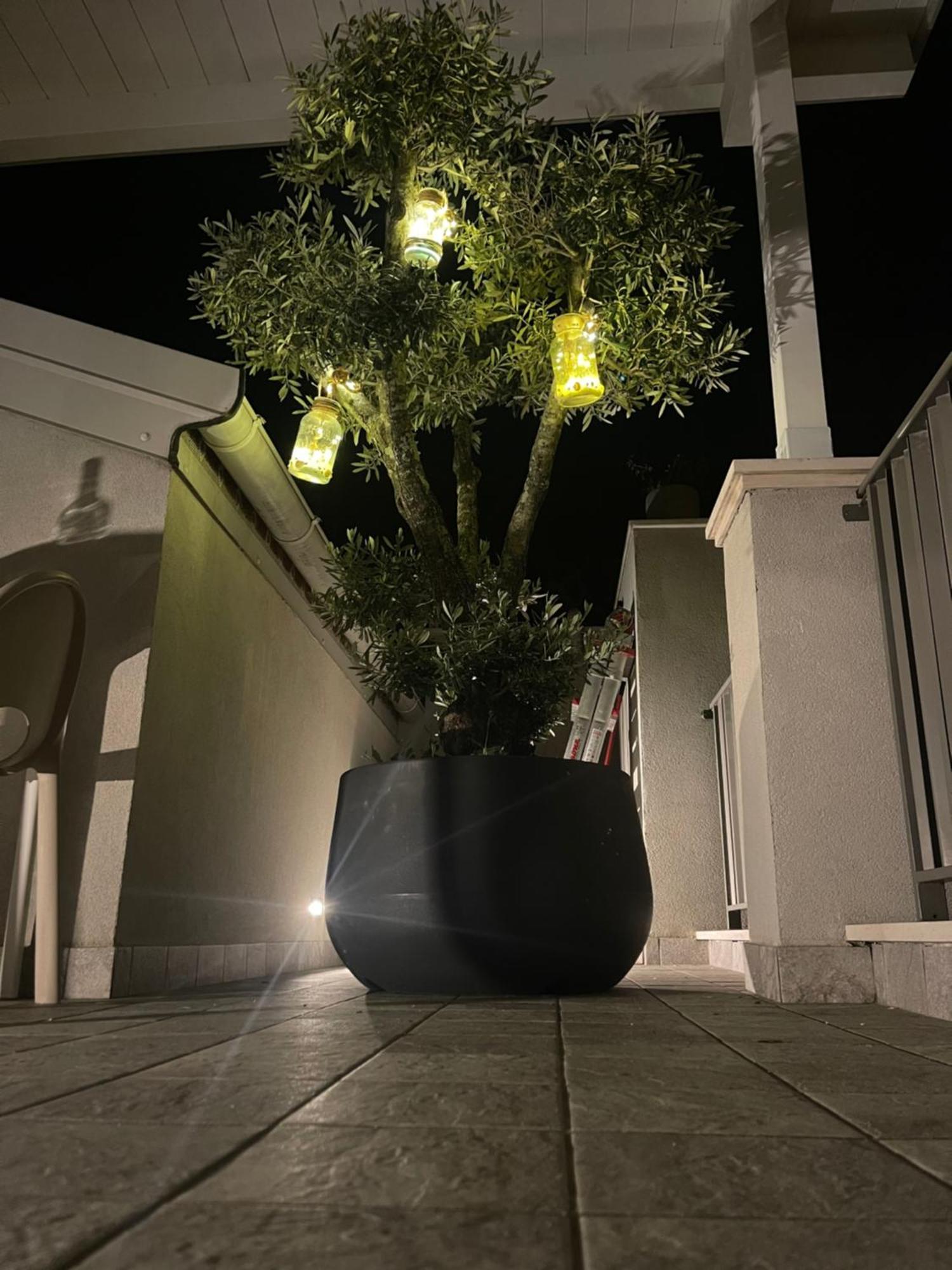 Bed and Breakfast La Casa Di Filo Boutique Roseto Degli Abruzzi Zewnętrze zdjęcie